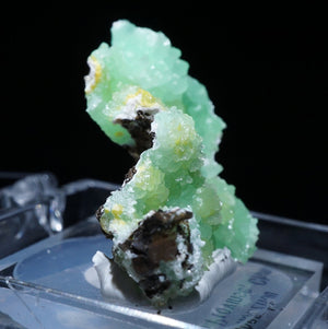 中国 湖南省産 Pyromorphite(緑鉛鉱)