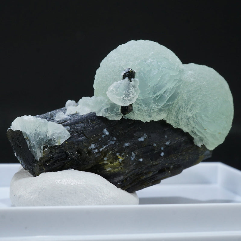 51001-2_800x.jpg?v=1731041330