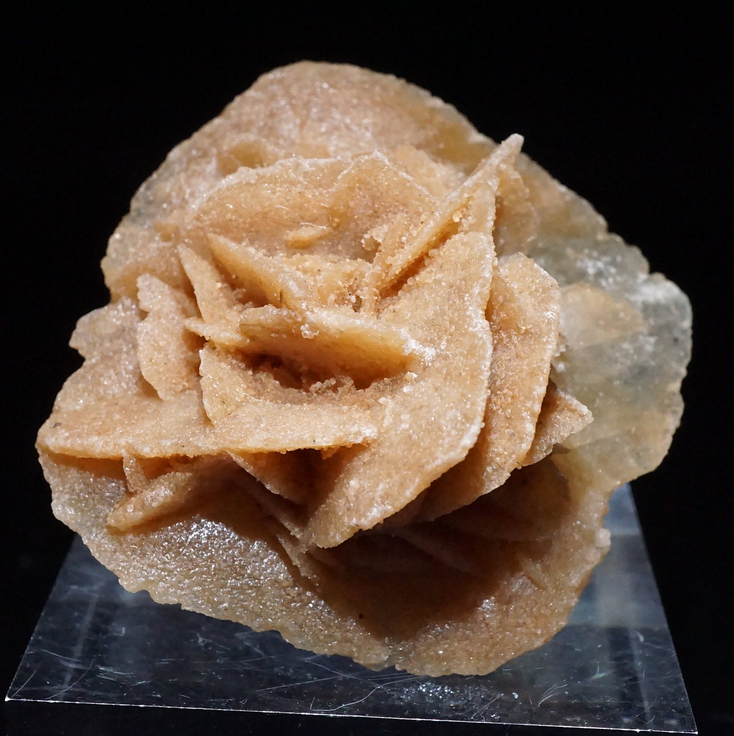 砂漠の石 51053-1_1437x.jpg?v=1731657575