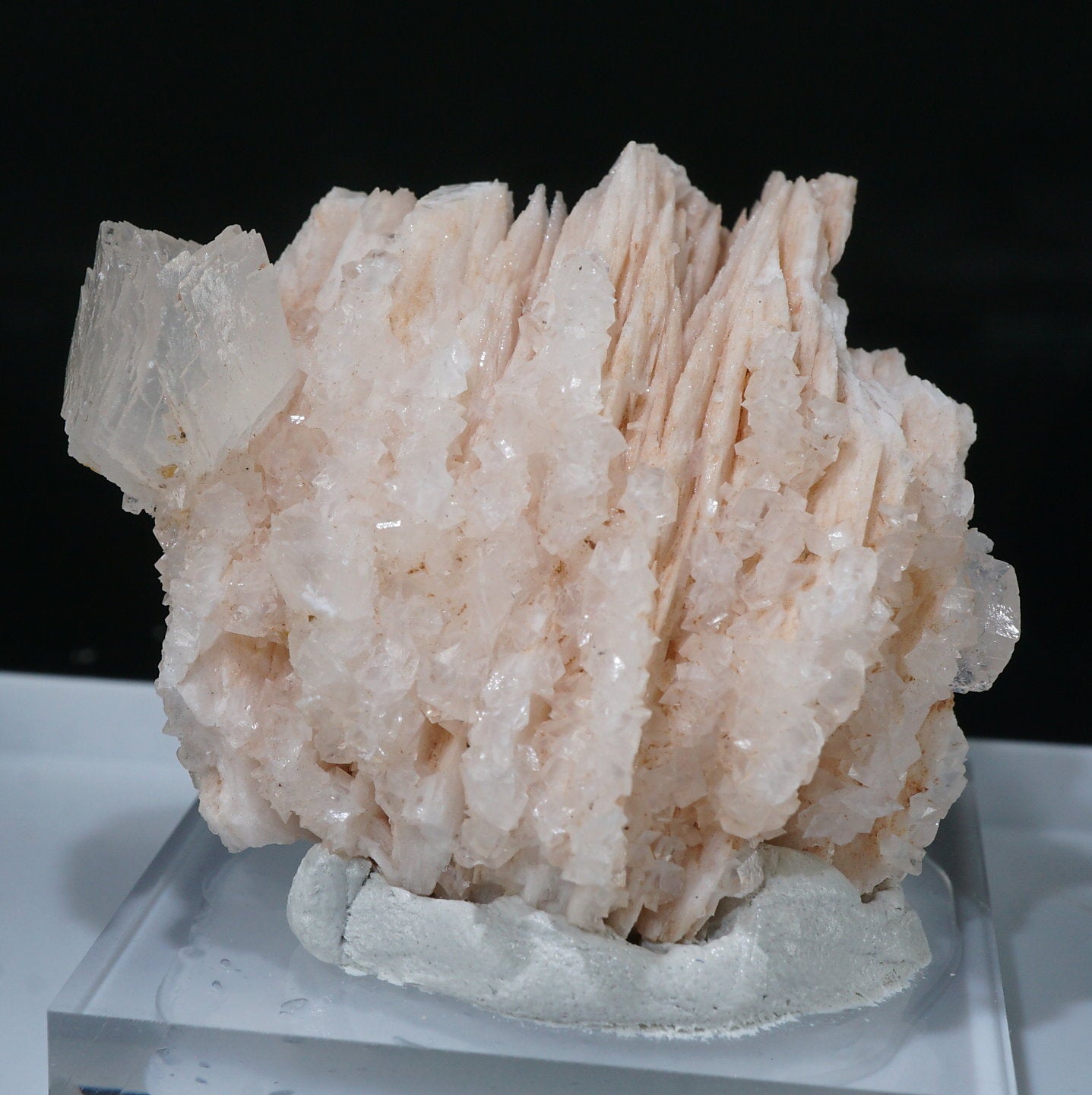 51114-15_1437x.jpg?v=1733207022