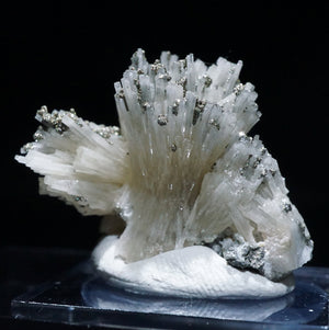 ポルトガル産 Fluorapatite・Pyrite