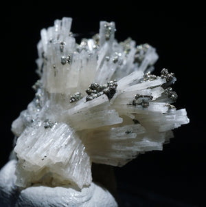 ポルトガル産 Fluorapatite・Pyrite