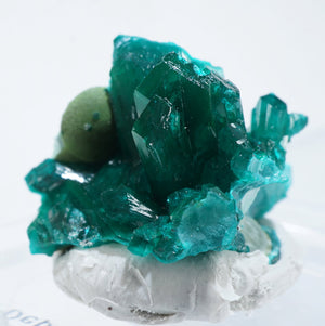 コンゴ産 Dioptase・Mottramite