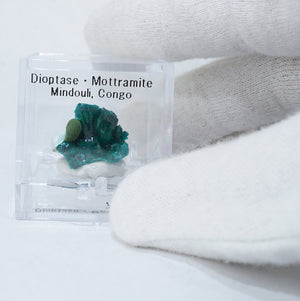 コンゴ産 Dioptase・Mottramite