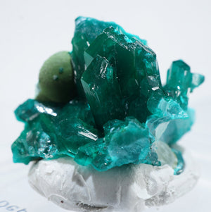 コンゴ産 Dioptase・Mottramite