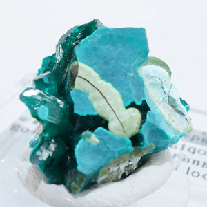 コンゴ産 Dioptase・Mottramite