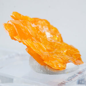 モロッコ産 Wulfenite(ウルフェナイト)