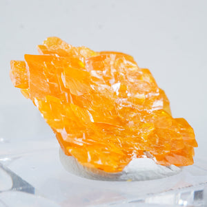 モロッコ産 Wulfenite(ウルフェナイト)