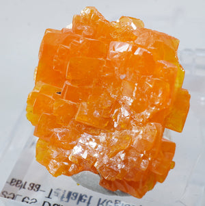 モロッコ産 Wulfenite(ウルフェナイト)