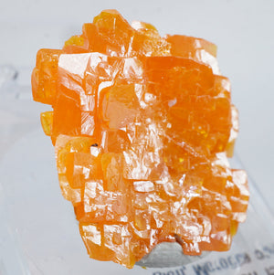 モロッコ産 Wulfenite(ウルフェナイト)