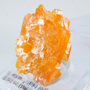 モロッコ産 Wulfenite(ウルフェナイト)