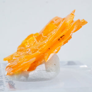 モロッコ産 Wulfenite(ウルフェナイト)