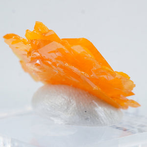 モロッコ産 Wulfenite(ウルフェナイト)