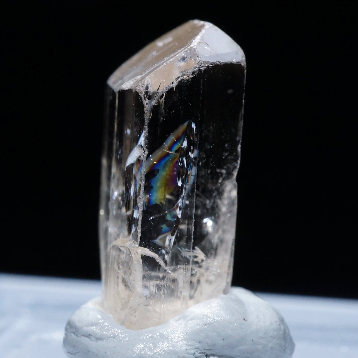 51515-6_1200x1200.jpg?v=1740124943