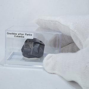 コロンビア産 Goethite after Pyrite (パイライト仮晶)十字貫入双晶