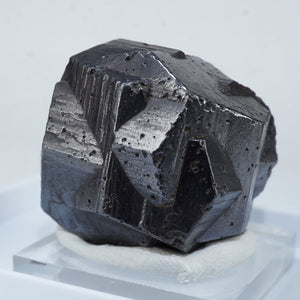 コロンビア産 Goethite after Pyrite (パイライト仮晶)十字貫入双晶