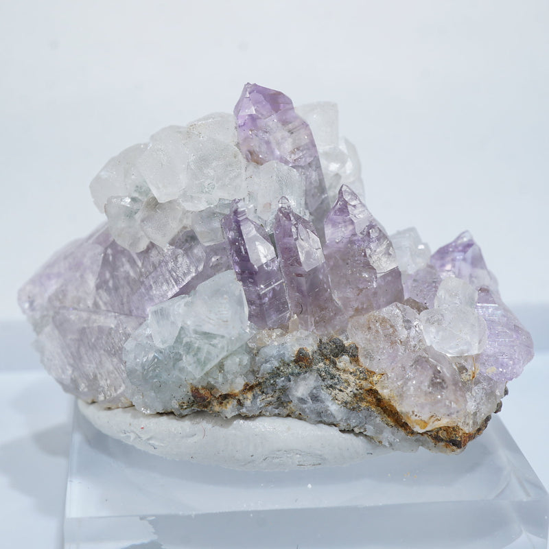 51690-2_800x.jpg?v=1743396061