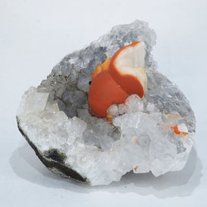 インド産 丸型フローライト・水晶 – 天然石ハッピーギフト