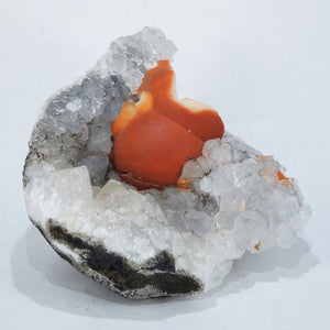 インド産 丸型フローライト・水晶 – 天然石ハッピーギフト