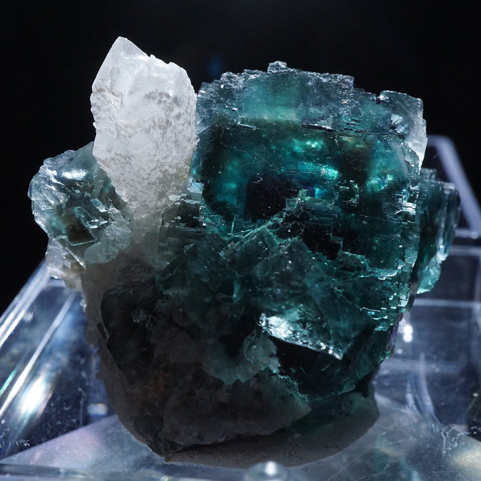 ナミビア Okorusu産フローライト