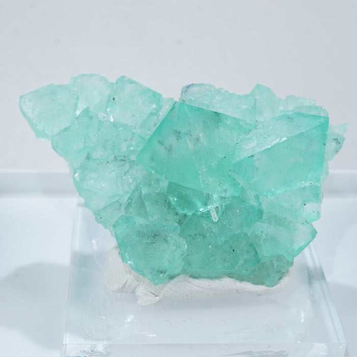 南アフリカ産 グリーンフローライト