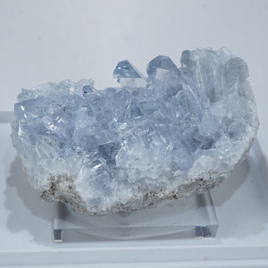 大粒結晶✨たまご型 セレスタイト♡天青石 卵型セレスタイト クラスター エッグ 鉱物 原石の天青石