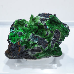 スペイン産 Conichalcite