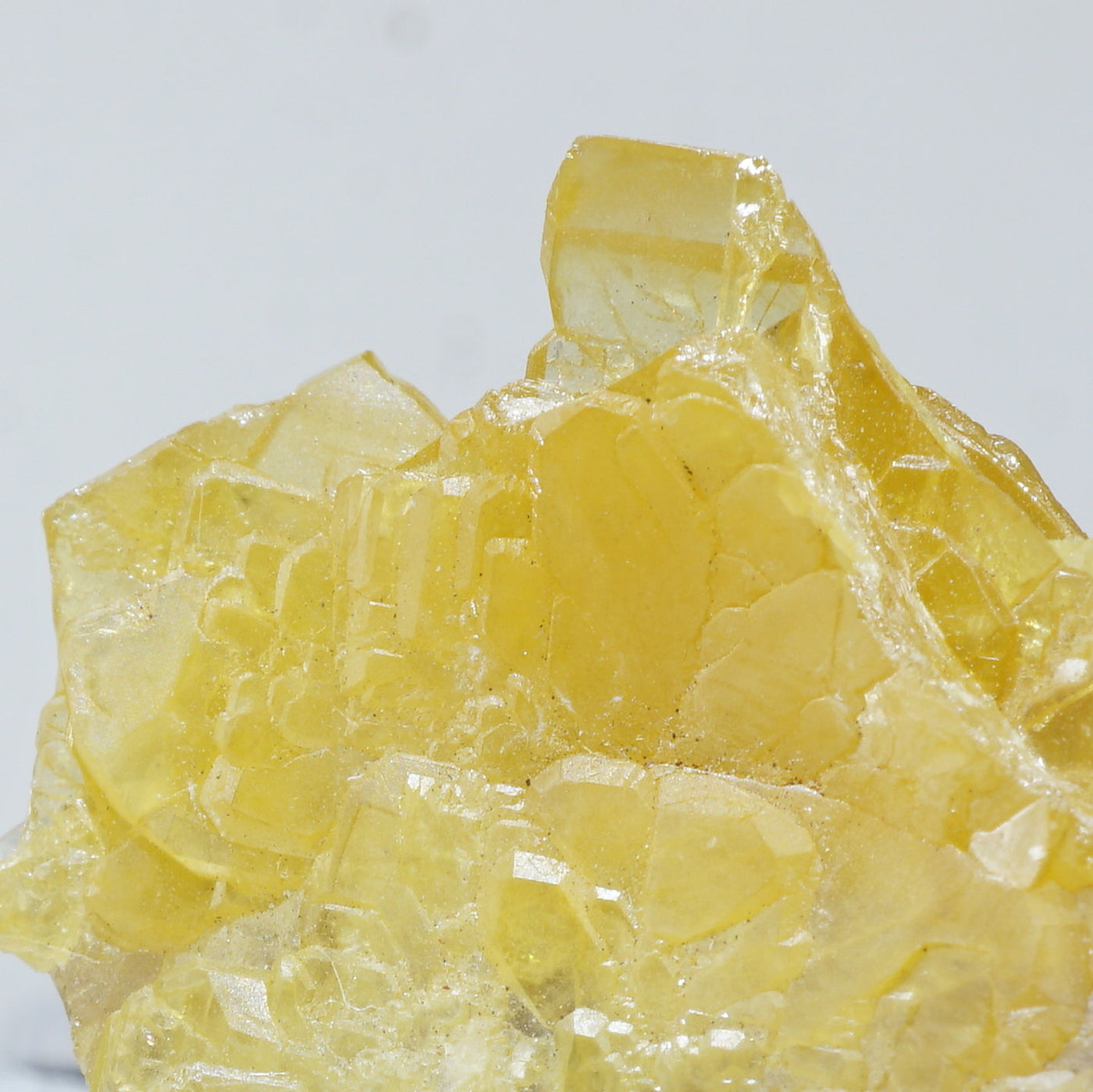 ウルフェナイト ウルフェナイト【Wulfenite】メキシコ産 | PEANUTS MINERALS