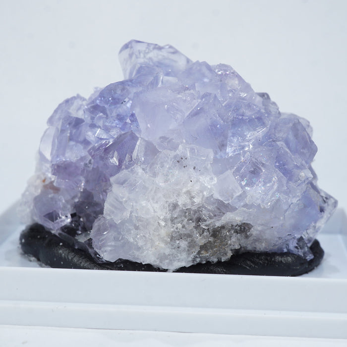 スペイン エミリオ鉱山産 フローライト