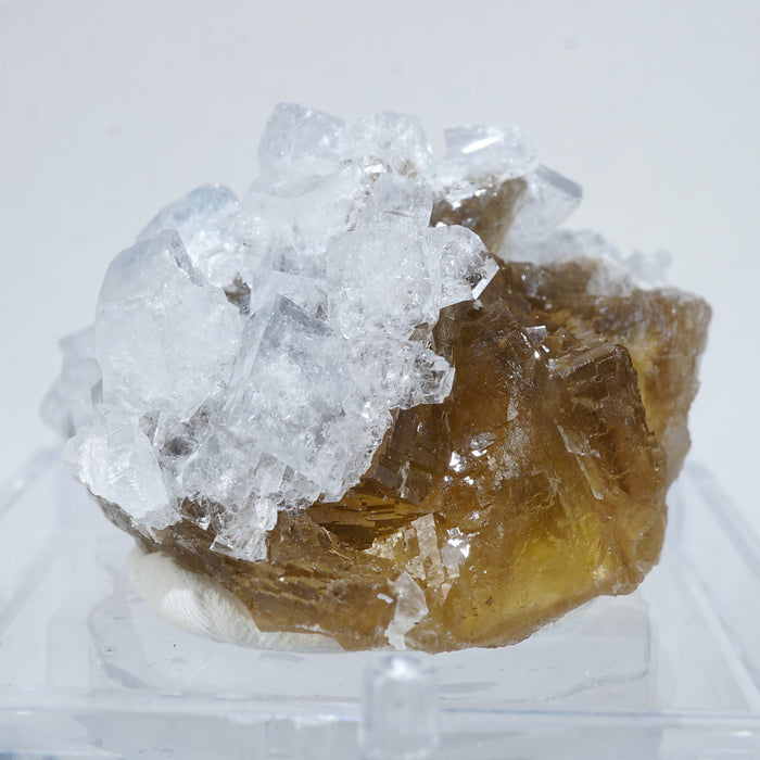 スペイン モスコーナ鉱山産 フローライト・バライト