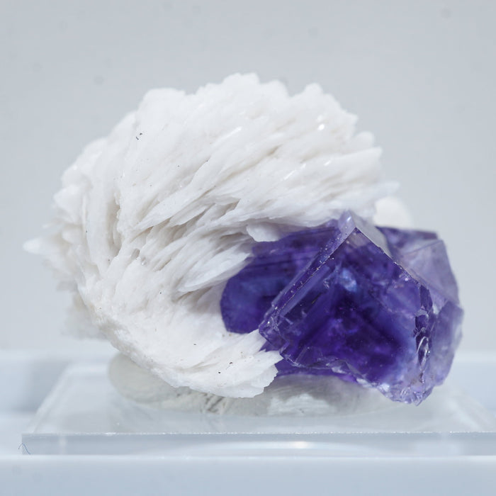 スペイン ベルベス産 フローライト・バライト