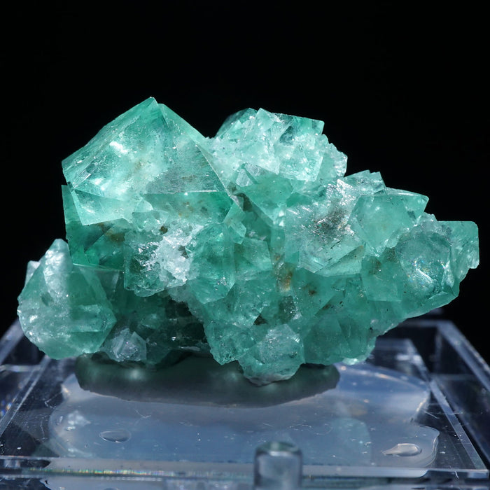 南アフリカ産 グリーンフローライト