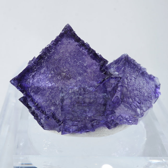 テネシー州 エルムウッド鉱山産 フローライト