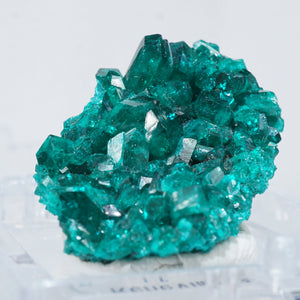 コンゴ産 翠銅鉱