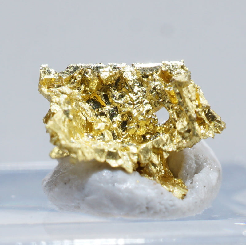 金鉱石 金探し」初心者の男性が2.6キロの金を含む鉱石を発見！ そのお値段は