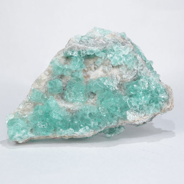 スペイン バルセロナ産 フローライト