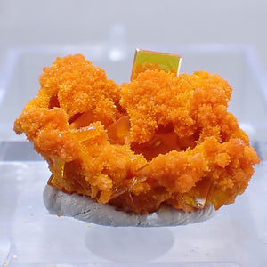 アメリカ アリゾナ州産 Wulfenite・Mimetite