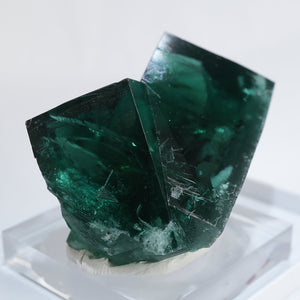 イギリス Diana Maria Mine (The Hidden Forest Pocket) ダイアナ