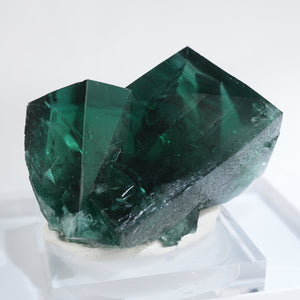 イギリス Diana Maria Mine (The Hidden Forest Pocket) ダイアナ