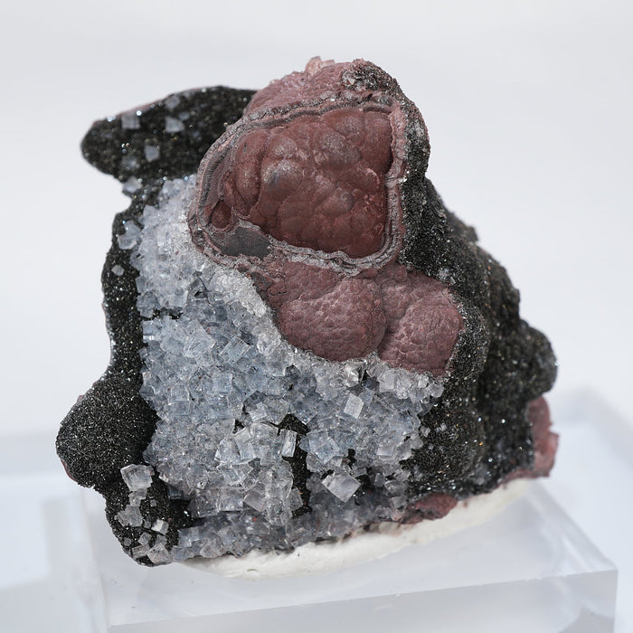 イギリス Florence(フローレンス)Mine産 フローライト on ヘマタイト