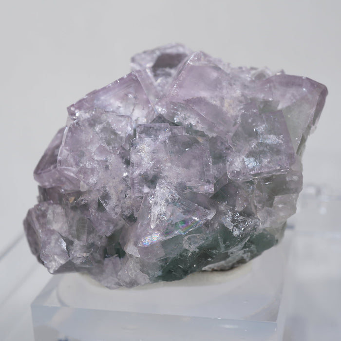 イギリス Blackdene Mine産 フローライト