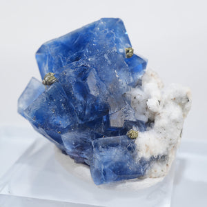 イギリス Cornwall産 フローライト・水晶(1790年代採掘品) – 天然石