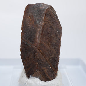 【初売りセール対象品】マダガスカル産 Monazite(モナズ石)