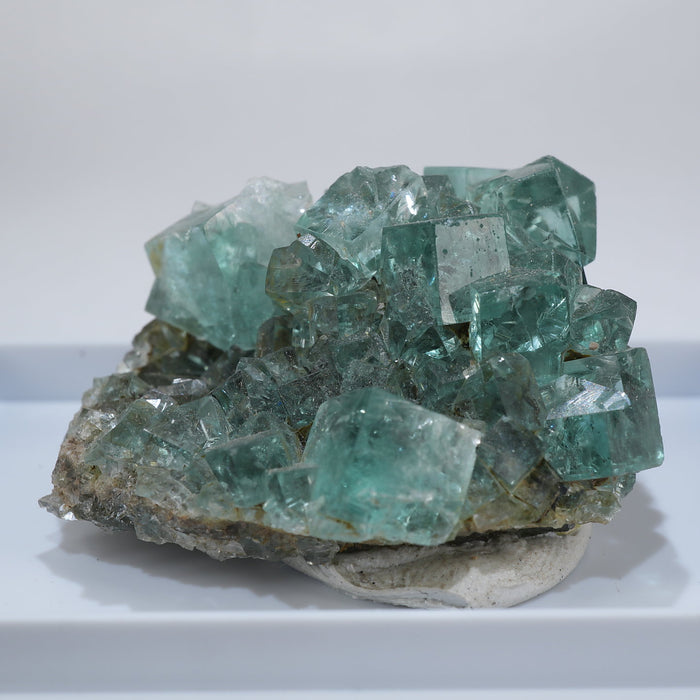 イギリス Heights Quarry産 フローライト