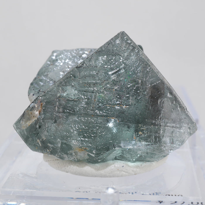 イギリス Heights Quarry産 フローライト