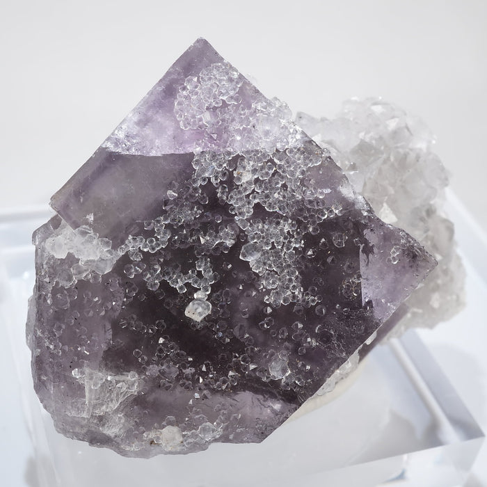 イギリス West Newlandside Quarry産 フローライト・水晶