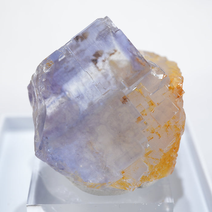 スペイン エミリオ鉱山産 フローライト