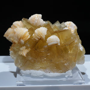 スペイン モスコーナ鉱山産 フローライト・バライト