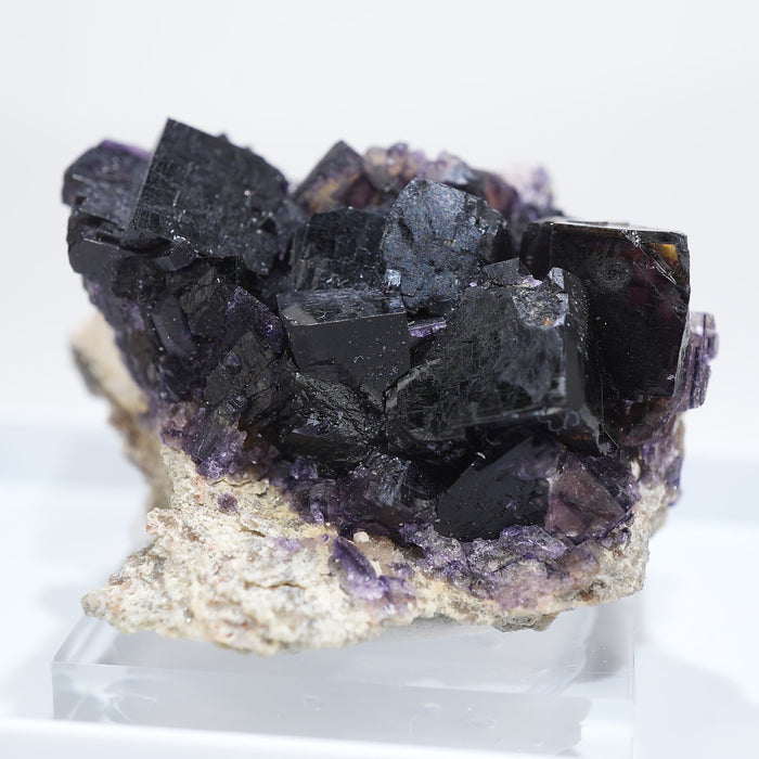 ドイツ10000 Ritter Mine産 フローライト