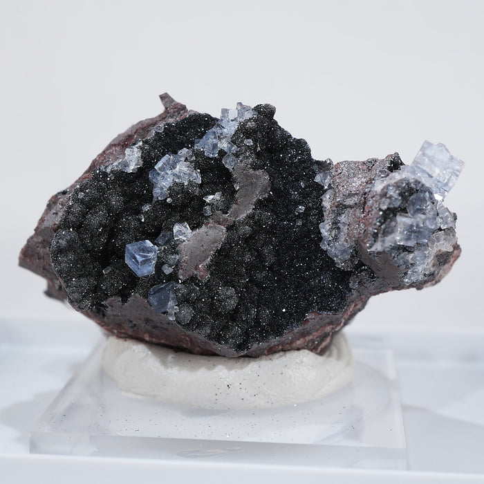 イギリス Florence(フローレンス)Mine産　Specularite・Fluorite